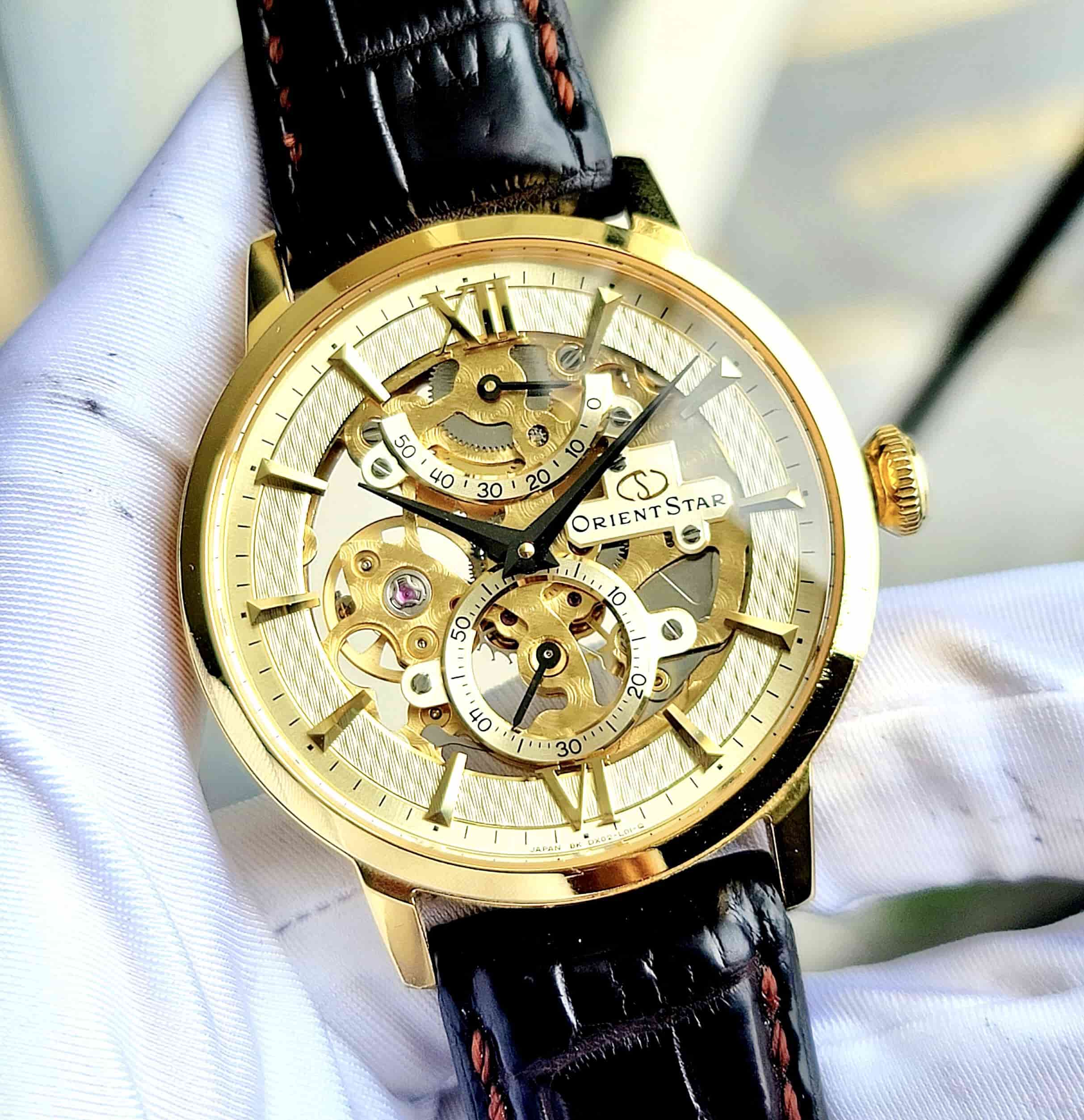 Orient skeleton 2024